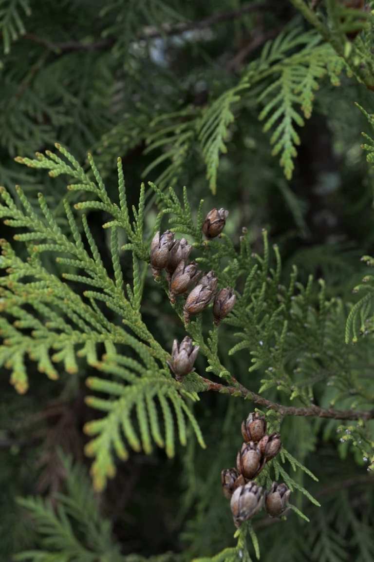 19 августа - Всемирный День фотографии